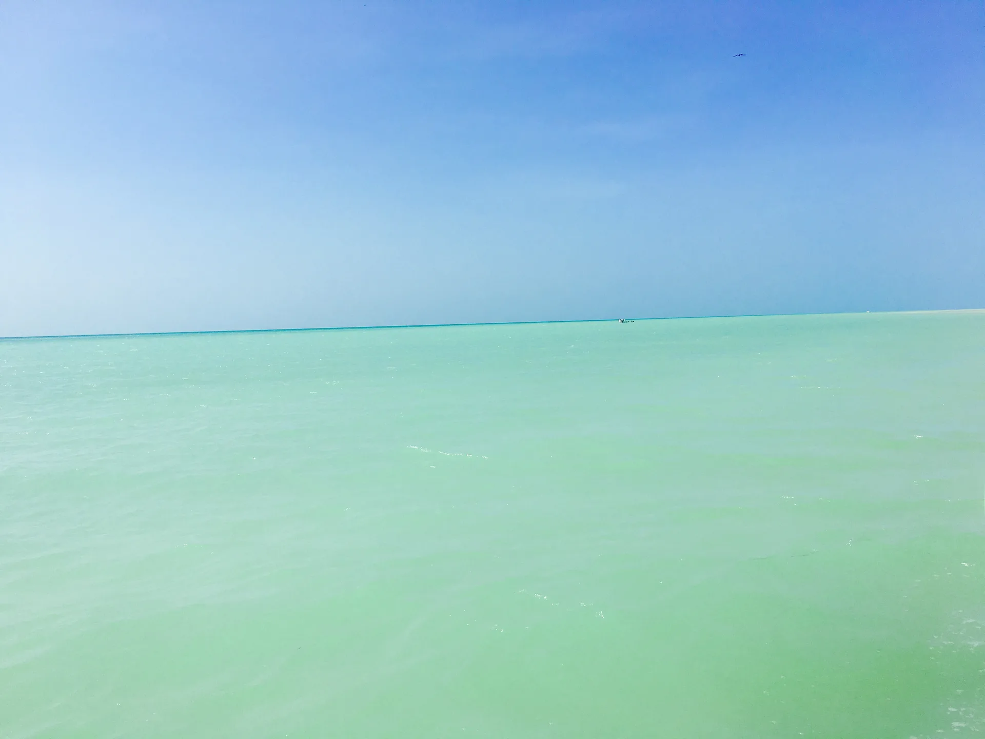 img_4637